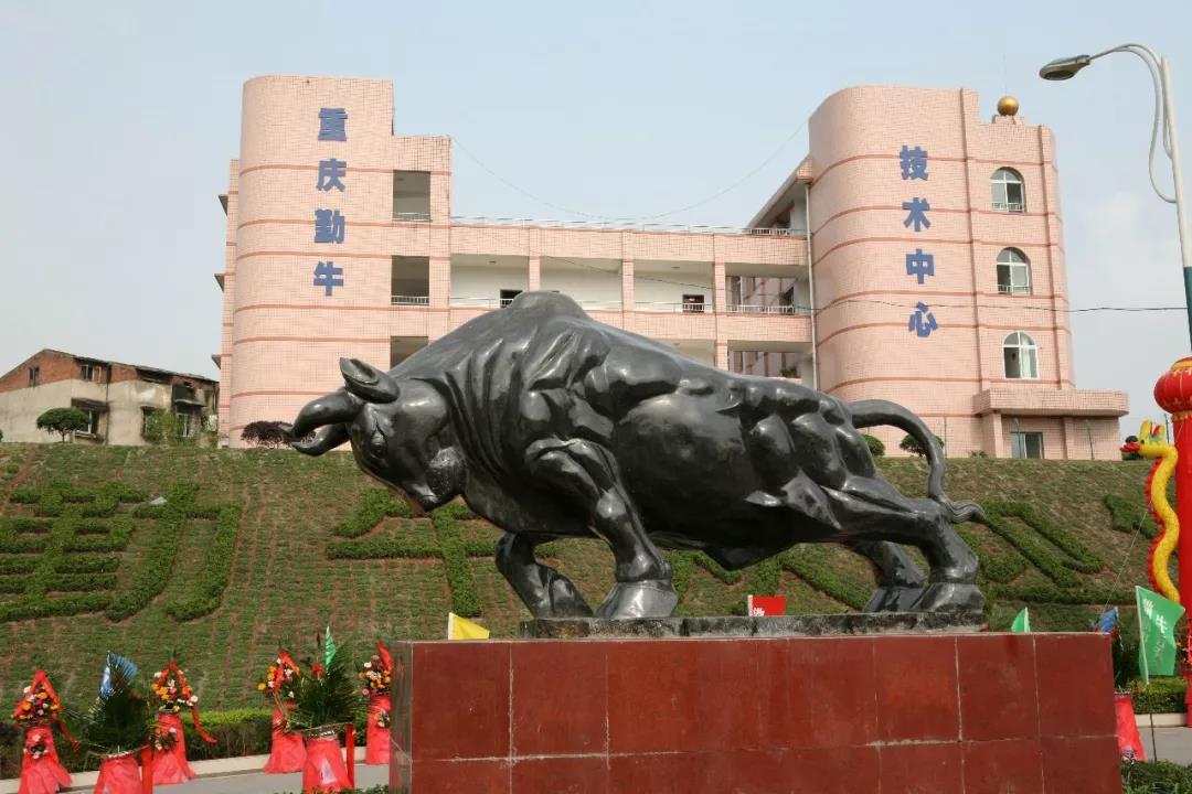 走進勤牛陳列室,砥礪民企強國志 走進勤牛陳列室,砥礪民企強國志