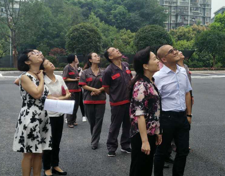 要聞：大渡口區委盧書記蒞臨勤牛 調研指導