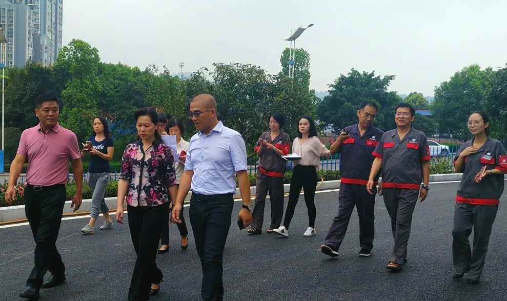 要聞：大渡口區委盧書記蒞臨勤牛 調研指導